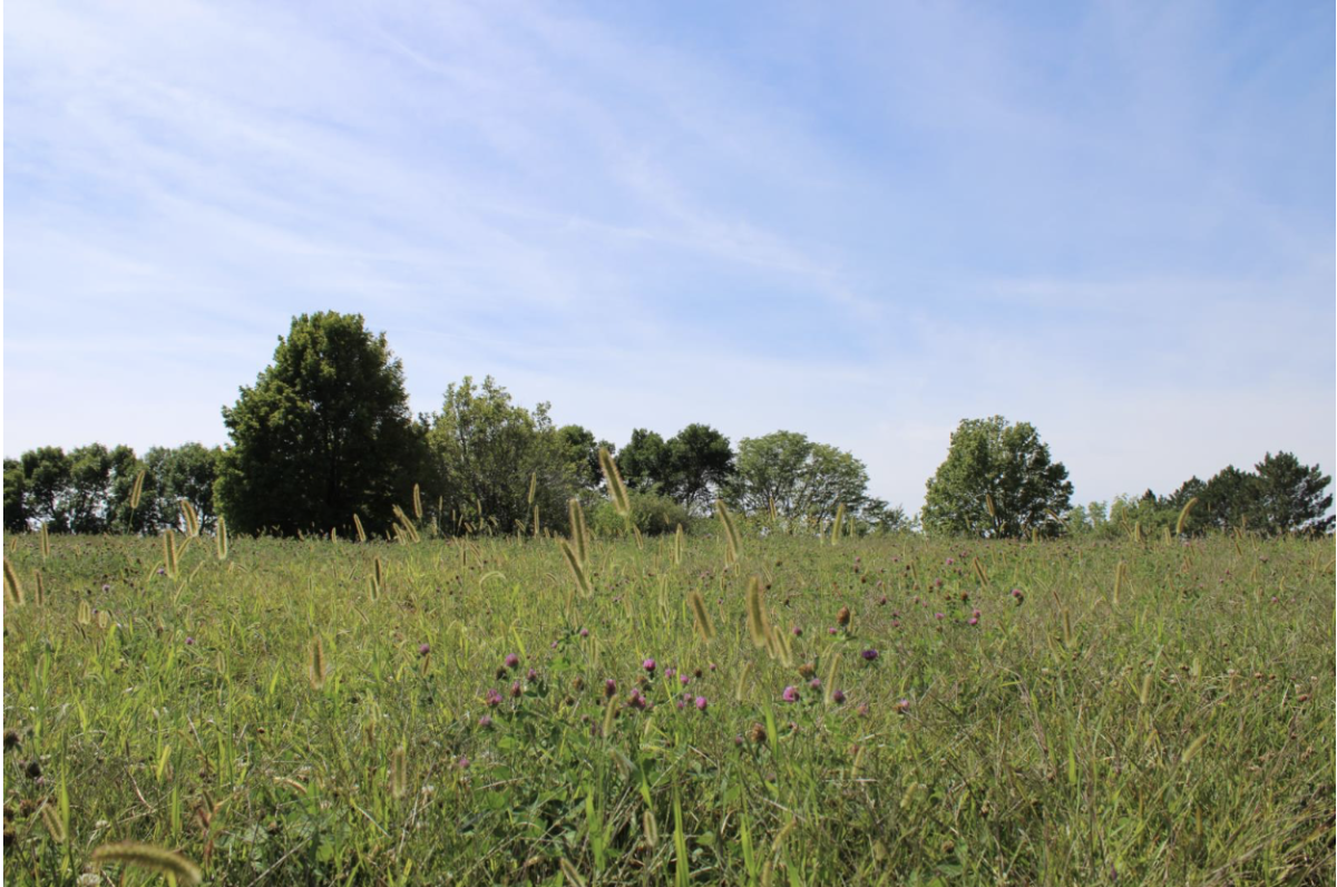 Omaha Public Schools district purchases land across the street from Westview High  